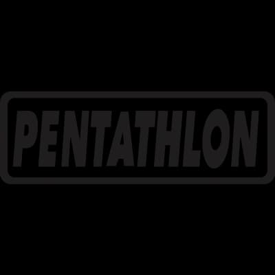 Pentathlon Dart Flights